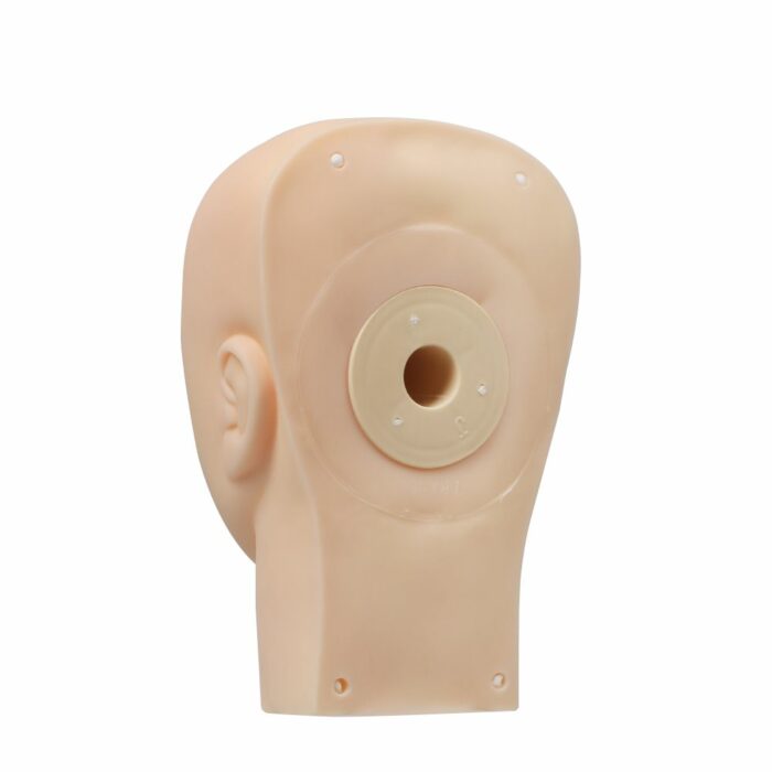 Removable Silicone Mannequin Training Head Model
