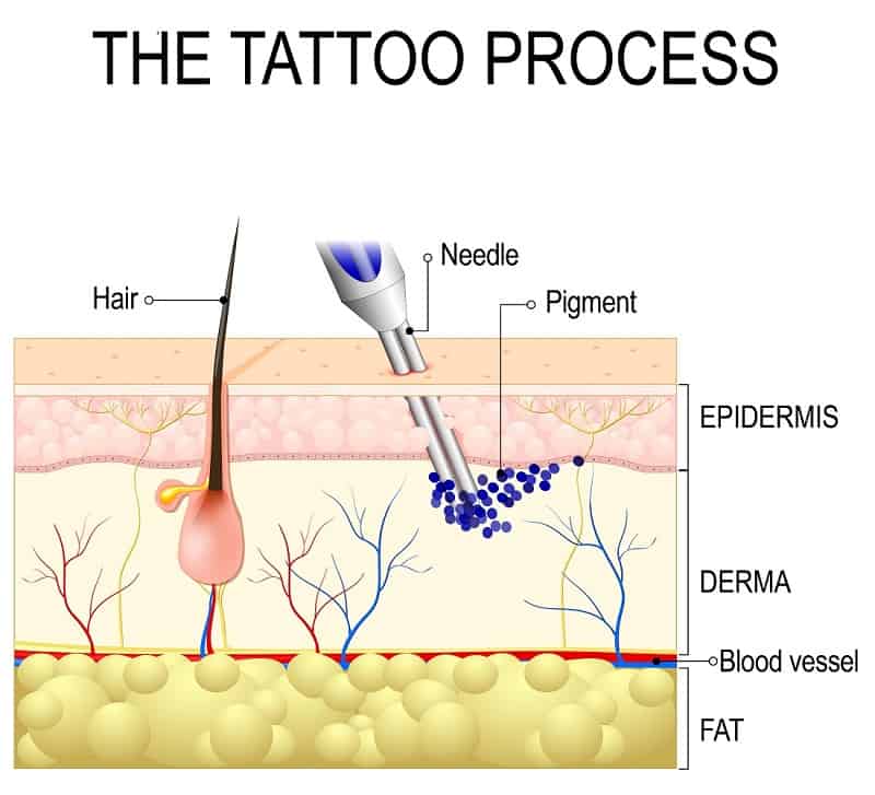 how to set up the tattoo needle depth